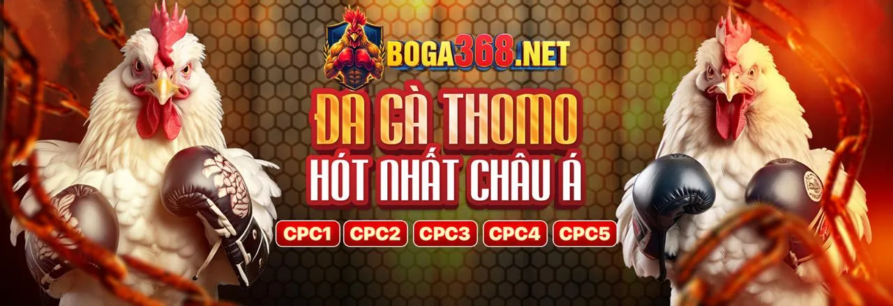 Đá gà trực tuyến 36win website chính thức